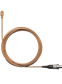 51701_1.png