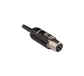 51735_1.png